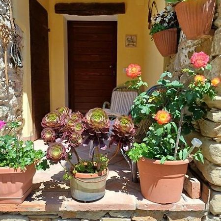 Casa Galla 奥瓦达 外观 照片